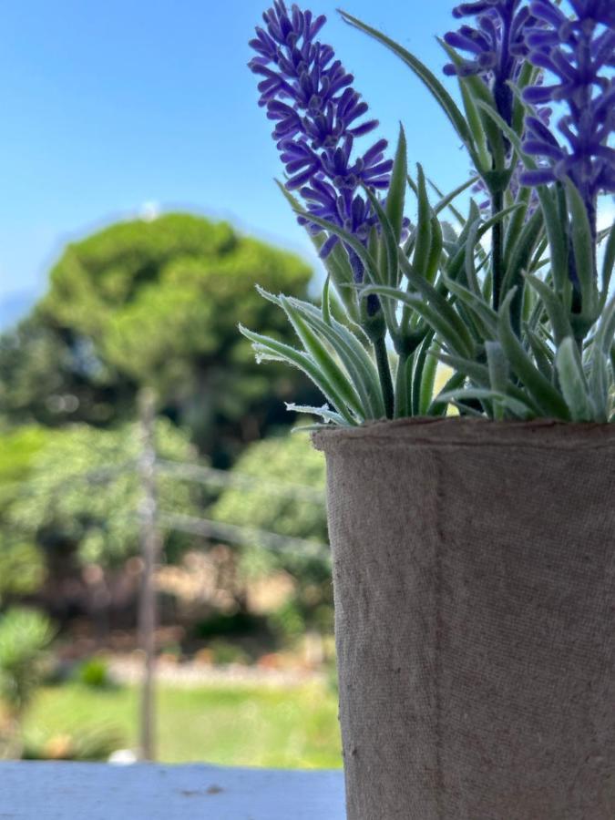Olia Apartment Corfu  Εξωτερικό φωτογραφία