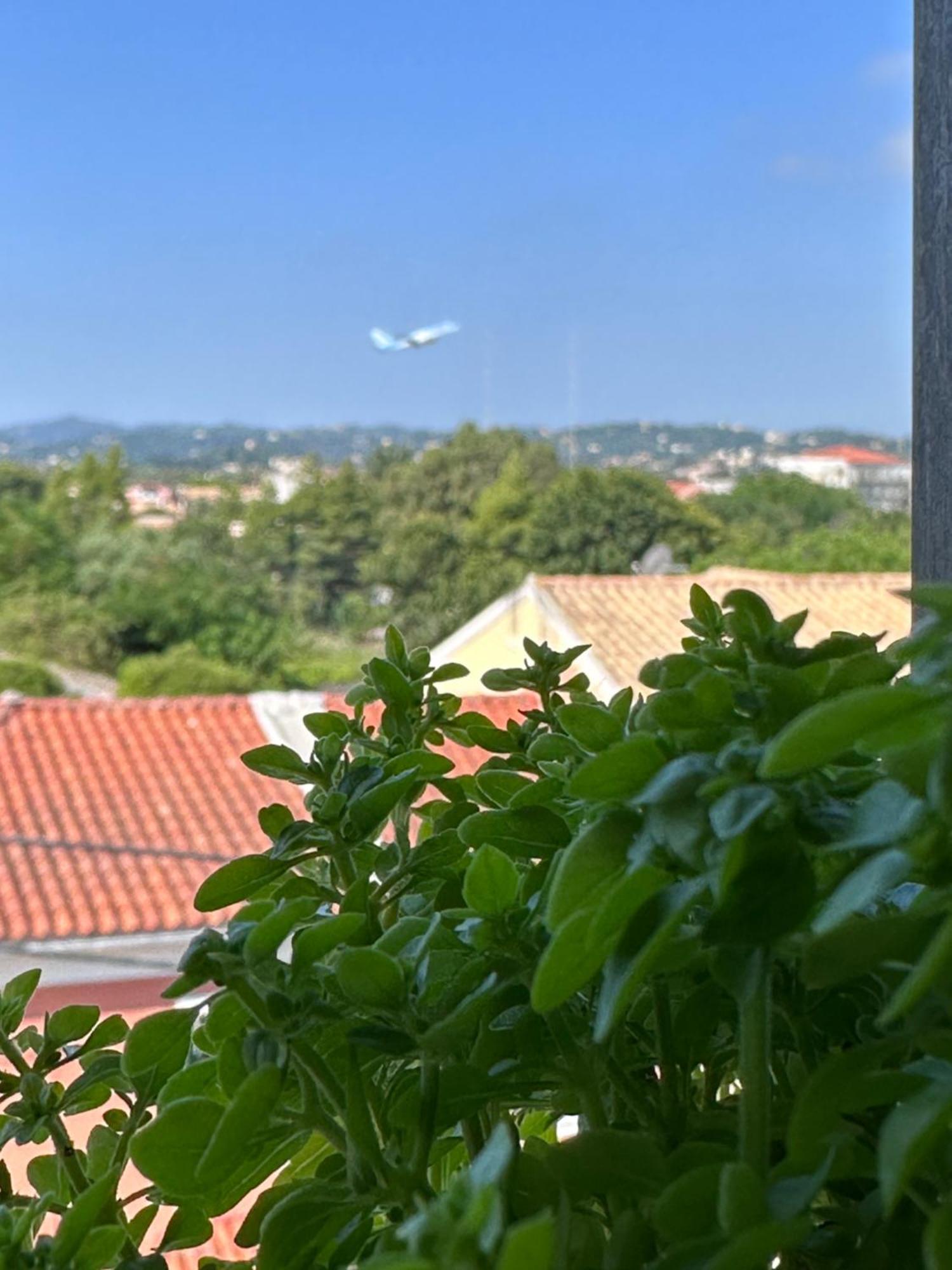 Olia Apartment Corfu  Εξωτερικό φωτογραφία